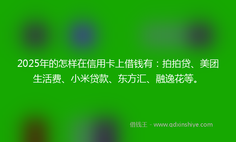 2025年的怎样在信用卡上借钱有：拍拍贷、美团生活费、小米贷款、东方汇、融逸花等。