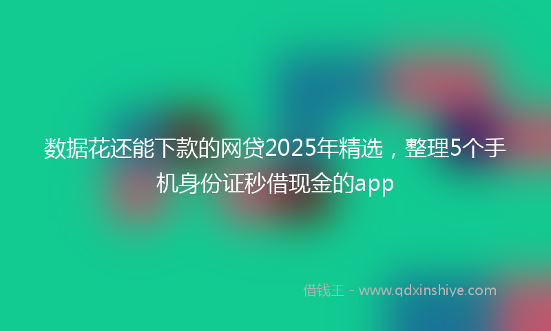 数据花还能下款的网贷2025年精选，整理5个手机身份证秒借现金的app