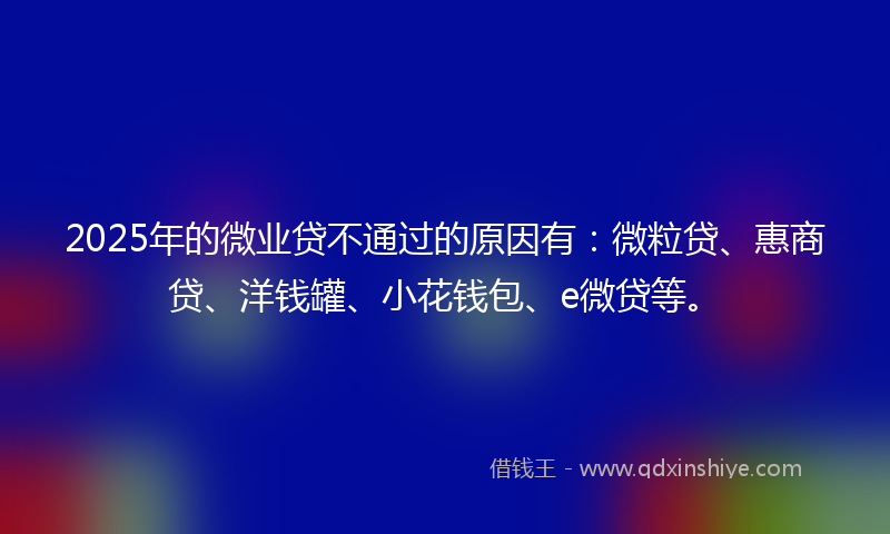 2025年的微业贷不通过的原因有：微粒贷、惠商贷、洋钱罐、小花钱包、e微贷等。