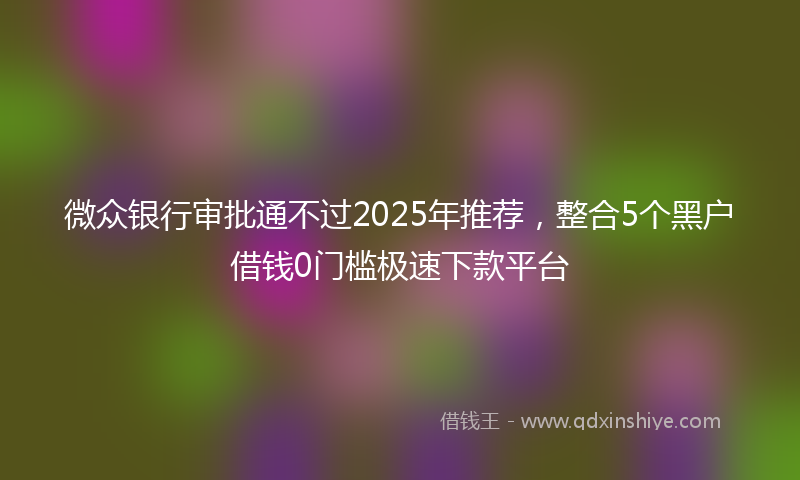 微众银行审批通不过2025年推荐，整合5个黑户借钱0门槛极速下款平台