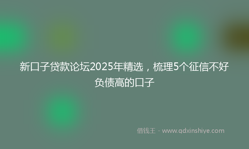 新口子贷款论坛2025年精选，梳理5个征信不好负债高的口子