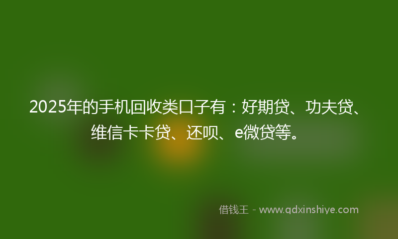 2025年的手机回收类口子有：好期贷、功夫贷、维信卡卡贷、还呗、e微贷等。
