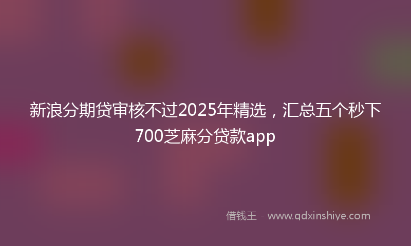 新浪分期贷审核不过2025年精选，汇总五个秒下700芝麻分贷款app