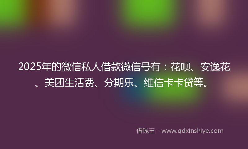 2025年的微信私人借款微信号有：花呗、安逸花、美团生活费、分期乐、维信卡卡贷等。