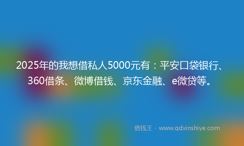 2025年的我想借私人5000元有：平安口袋银行、360借条、微博借钱、京东金融、e微贷等。