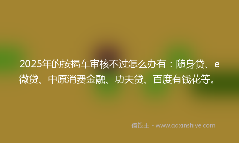 2025年的按揭车审核不过怎么办有：随身贷、e微贷、中原消费金融、功夫贷、百度有钱花等。