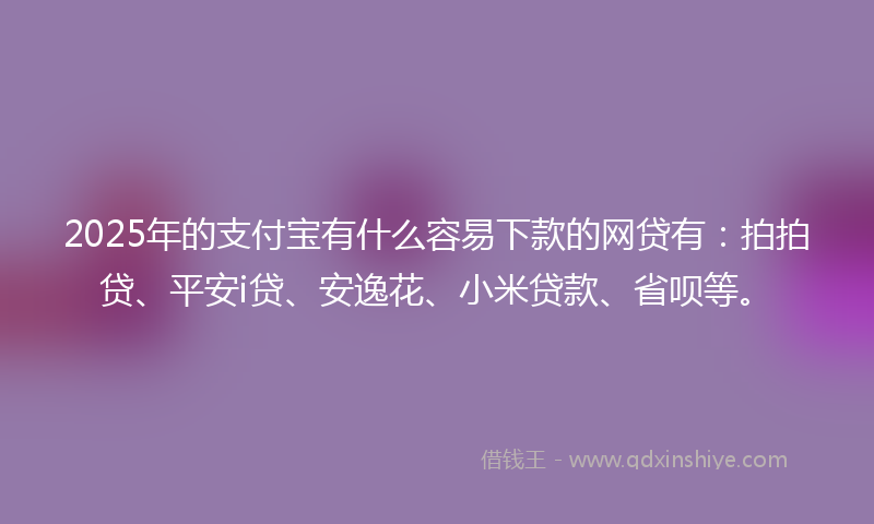 2025年的支付宝有什么容易下款的网贷有：拍拍贷、平安i贷、安逸花、小米贷款、省呗等。