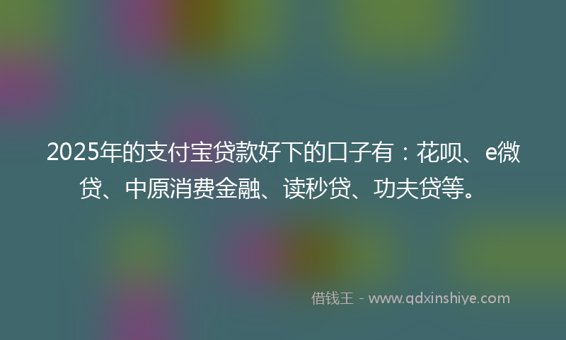 2025年的支付宝贷款好下的口子有：花呗、e微贷、中原消费金融、读秒贷、功夫贷等。
