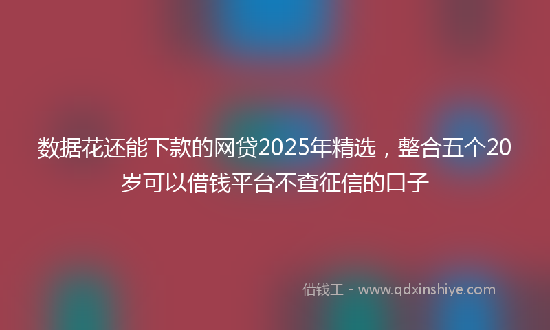 数据花还能下款的网贷2025年精选，整合五个20岁可以借钱平台不查征信的口子