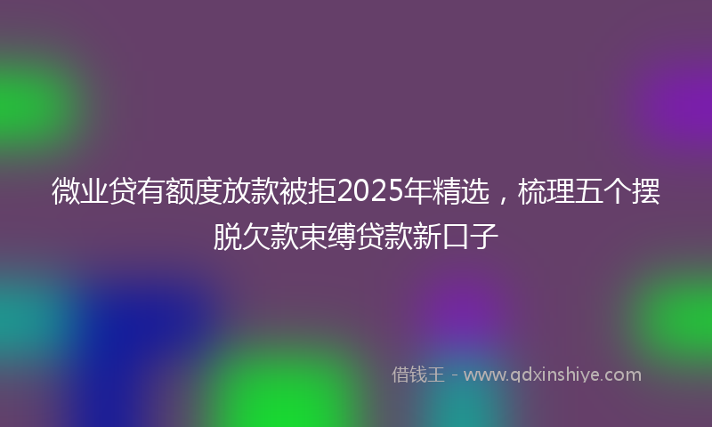 微业贷有额度放款被拒2025年精选，梳理五个摆脱欠款束缚贷款新口子