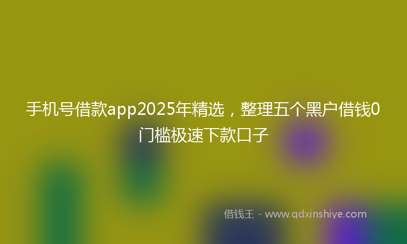 手机号借款app2025年精选，整理五个黑户借钱0门槛极速下款口子