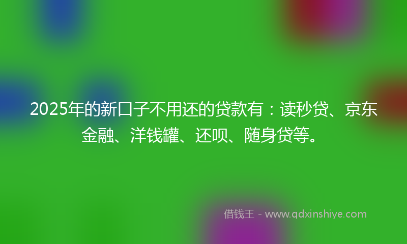 2025年的新口子不用还的贷款有：读秒贷、京东金融、洋钱罐、还呗、随身贷等。