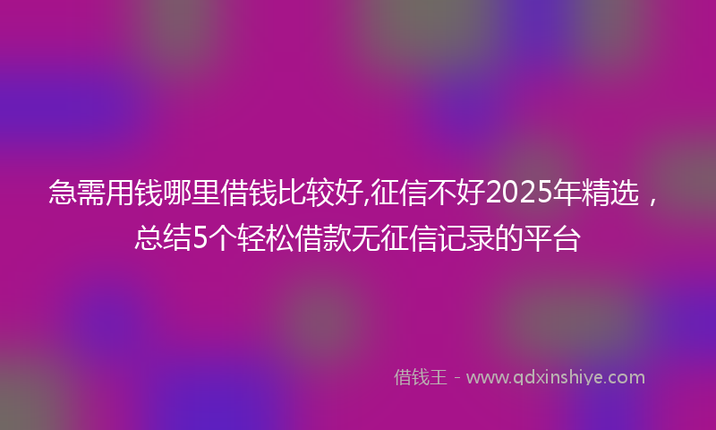 急需用钱哪里借钱比较好,征信不好2025年精选，总结5个轻松借款无征信记录的平台