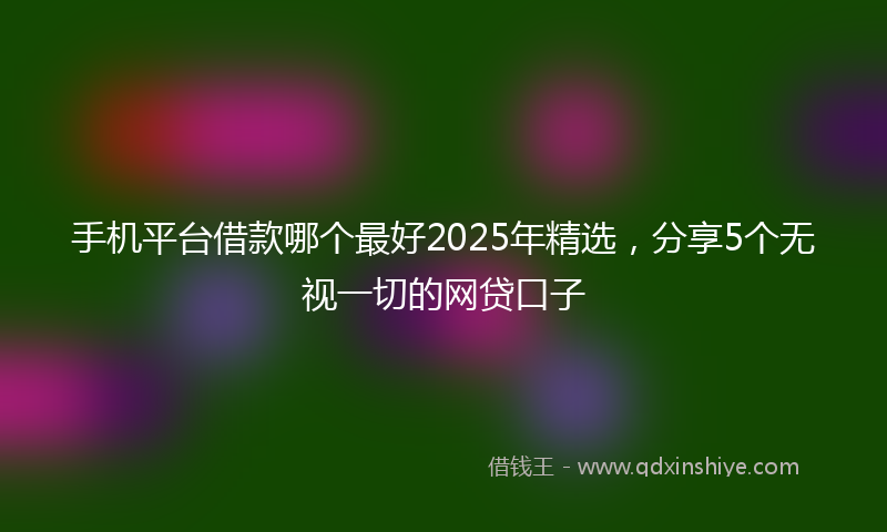 手机平台借款哪个最好2025年精选，分享5个无视一切的网贷口子