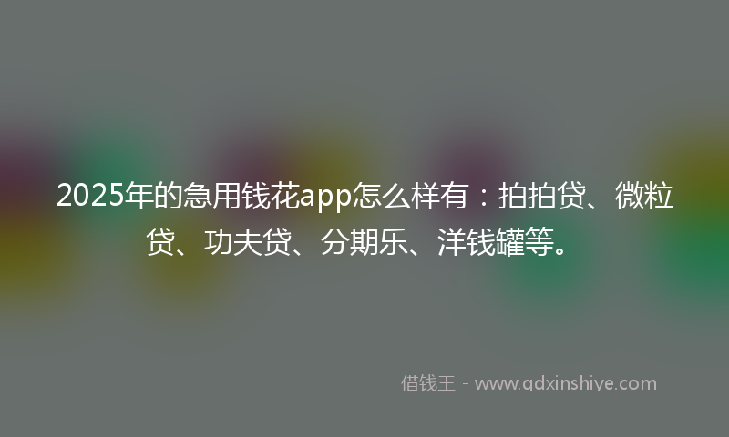 2025年的急用钱花app怎么样有：拍拍贷、微粒贷、功夫贷、分期乐、洋钱罐等。