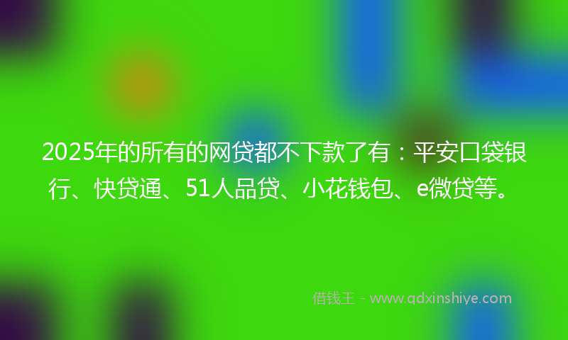 2025年的所有的网贷都不下款了有：平安口袋银行、快贷通、51人品贷、小花钱包、e微贷等。
