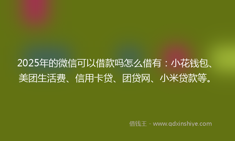 2025年的微信可以借款吗怎么借有：小花钱包、美团生活费、信用卡贷、团贷网、小米贷款等。