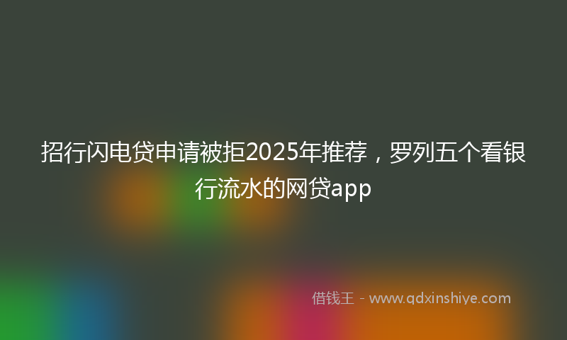 招行闪电贷申请被拒2025年推荐，罗列五个看银行流水的网贷app