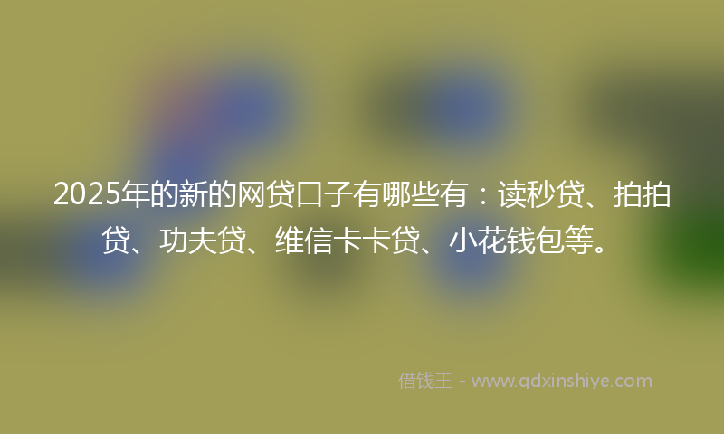 2025年的新的网贷口子有哪些有：读秒贷、拍拍贷、功夫贷、维信卡卡贷、小花钱包等。