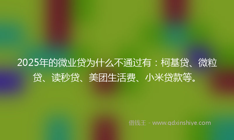 2025年的微业贷为什么不通过有：柯基贷、微粒贷、读秒贷、美团生活费、小米贷款等。