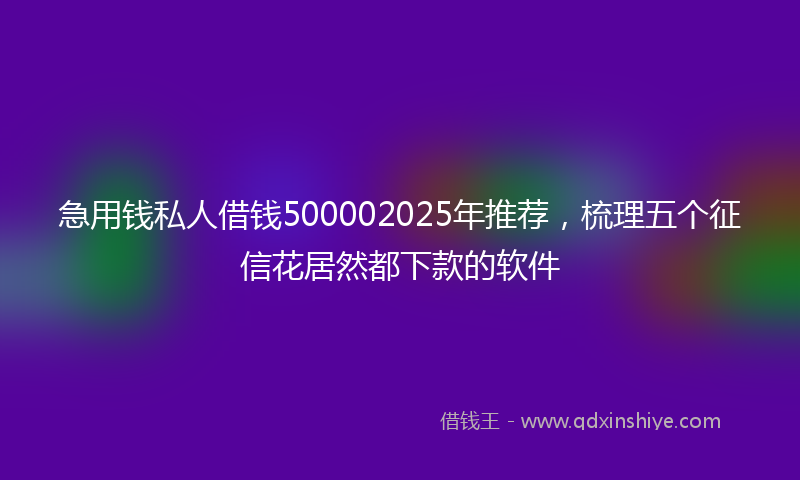急用钱私人借钱500002025年推荐，梳理五个征信花居然都下款的软件