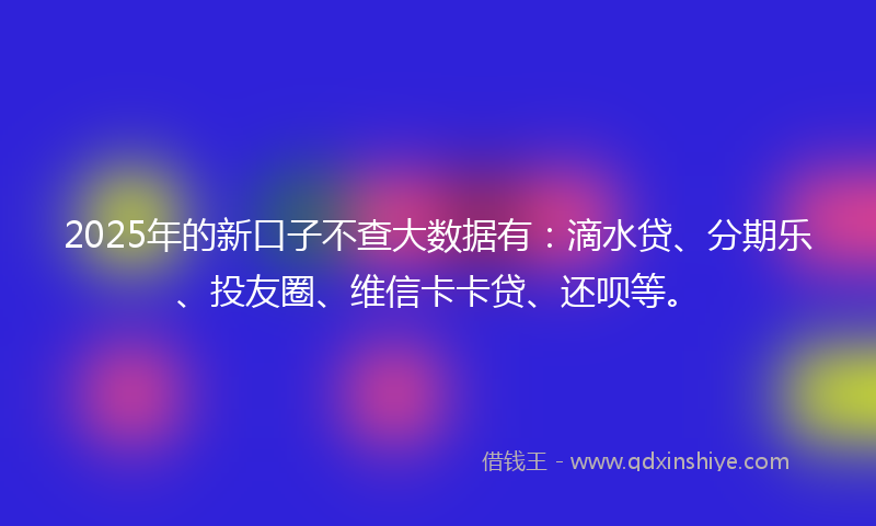 2025年的新口子不查大数据有：滴水贷、分期乐、投友圈、维信卡卡贷、还呗等。