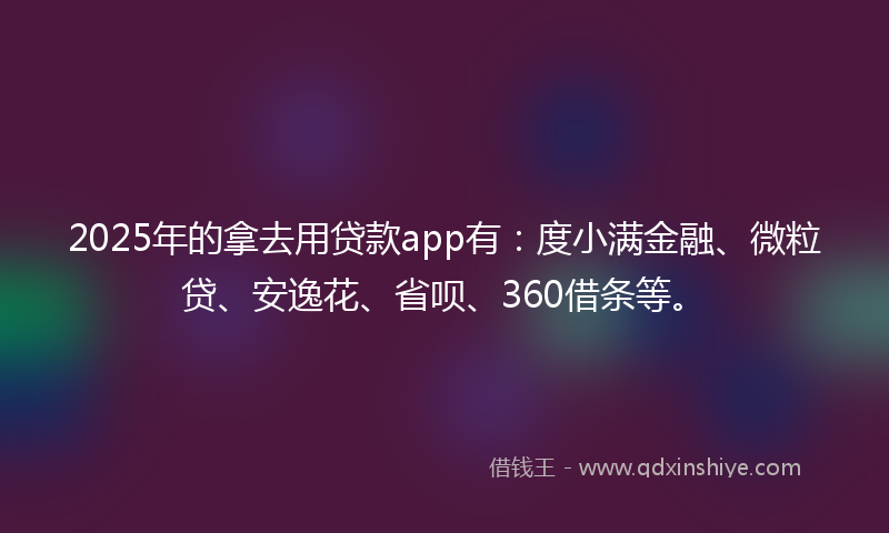 2025年的拿去用贷款app有：度小满金融、微粒贷、安逸花、省呗、360借条等。