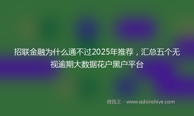 招联金融为什么通不过2025年推荐，汇总五个无视逾期大数据花户黑户平台