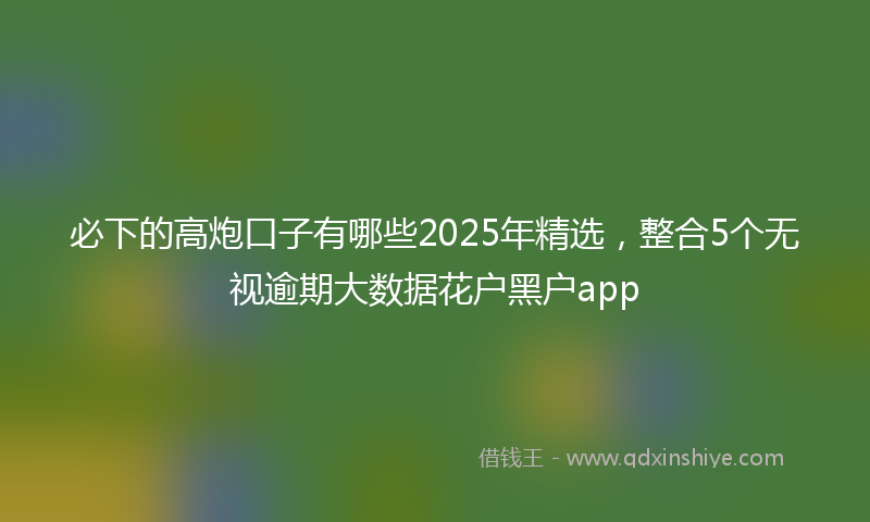 必下的高炮口子有哪些2025年精选，整合5个无视逾期大数据花户黑户app