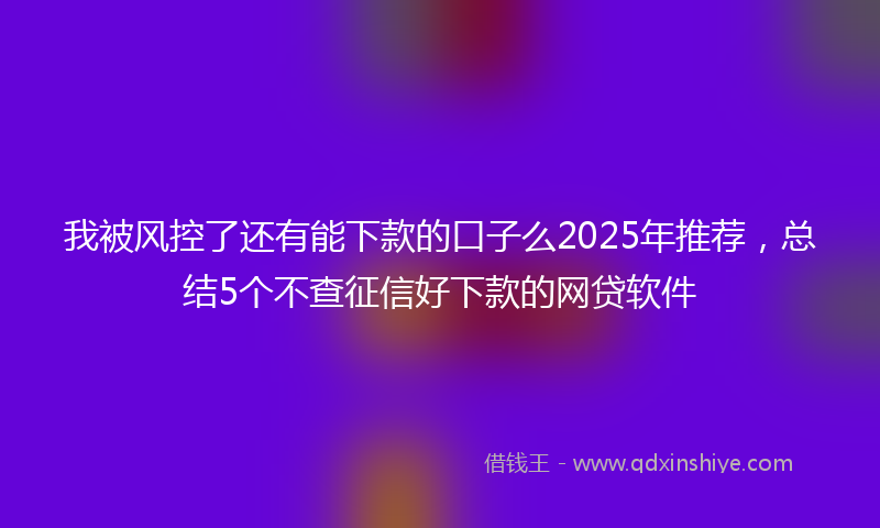 我被风控了还有能下款的口子么2025年推荐，总结5个不查征信好下款的网贷软件