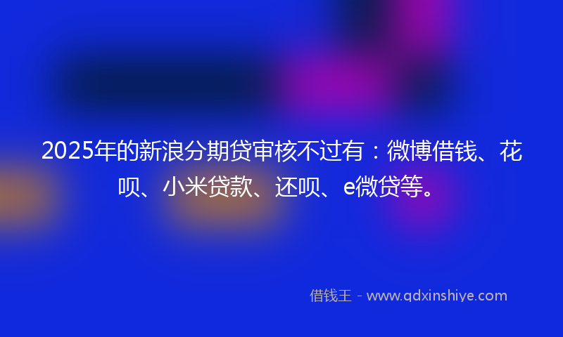 2025年的新浪分期贷审核不过有：微博借钱、花呗、小米贷款、还呗、e微贷等。