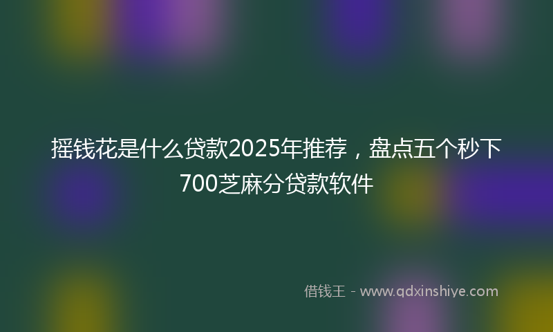 摇钱花是什么贷款2025年推荐，盘点五个秒下700芝麻分贷款软件