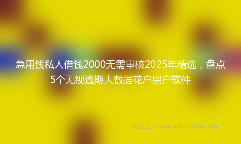 急用钱私人借钱2000无需审核2025年精选，盘点5个无视逾期大数据花户黑户软件