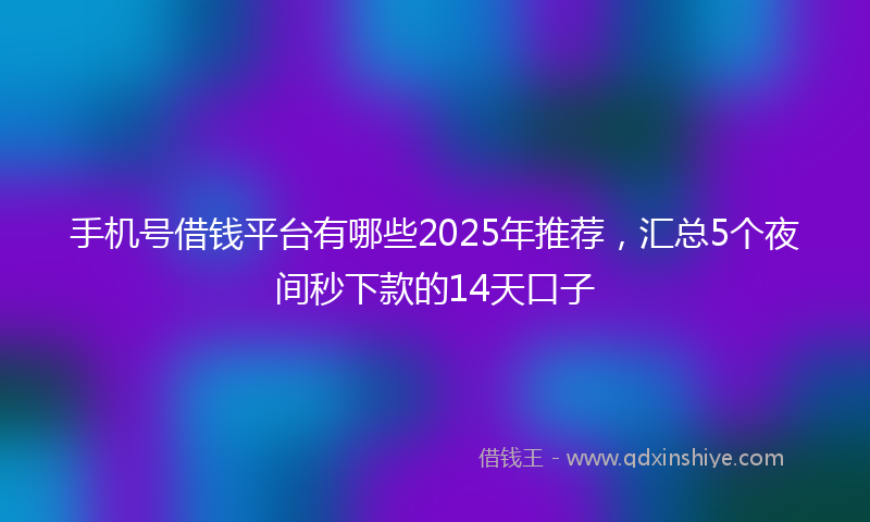 手机号借钱平台有哪些2025年推荐，汇总5个夜间秒下款的14天口子