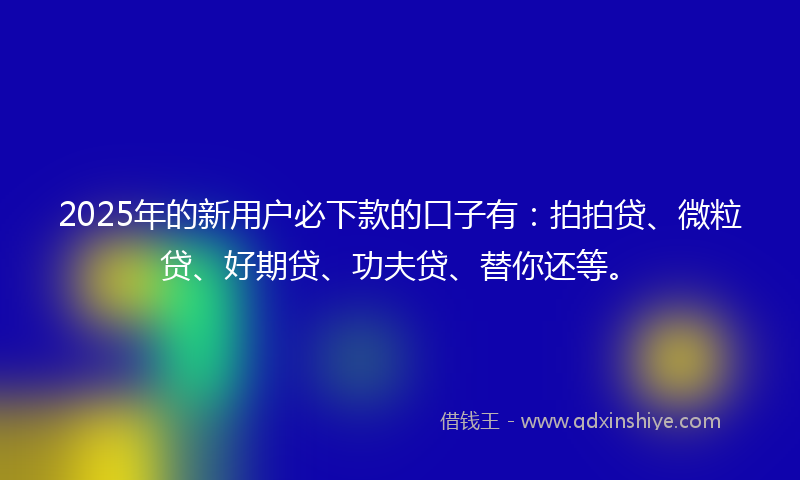 2025年的新用户必下款的口子有：拍拍贷、微粒贷、好期贷、功夫贷、替你还等。