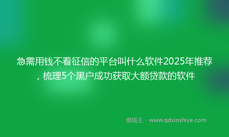 急需用钱不看征信的平台叫什么软件2025年推荐，梳理5个黑户成功获取大额贷款的软件