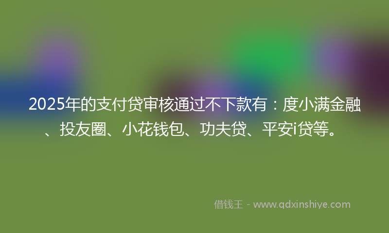 2025年的支付贷审核通过不下款有：度小满金融、投友圈、小花钱包、功夫贷、平安i贷等。