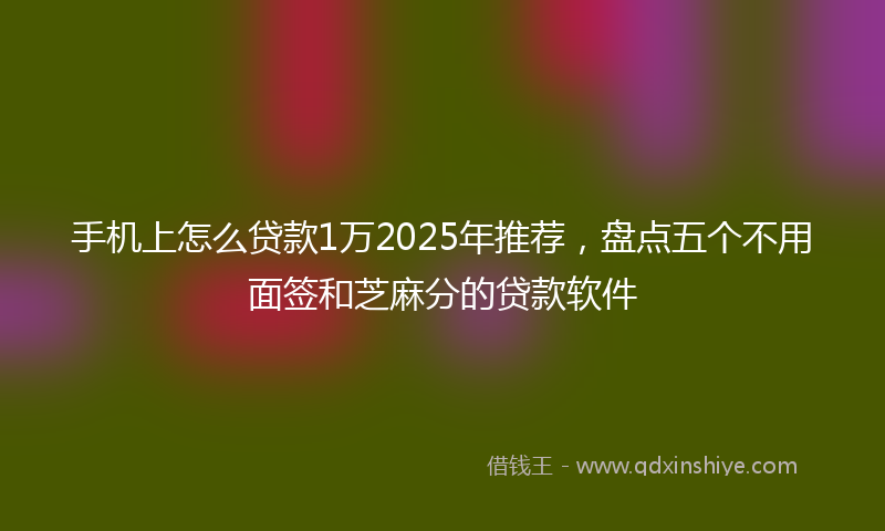 手机上怎么贷款1万2025年推荐，盘点五个不用面签和芝麻分的贷款软件