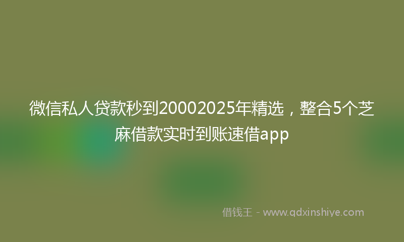 微信私人贷款秒到20002025年精选，整合5个芝麻借款实时到账速借app
