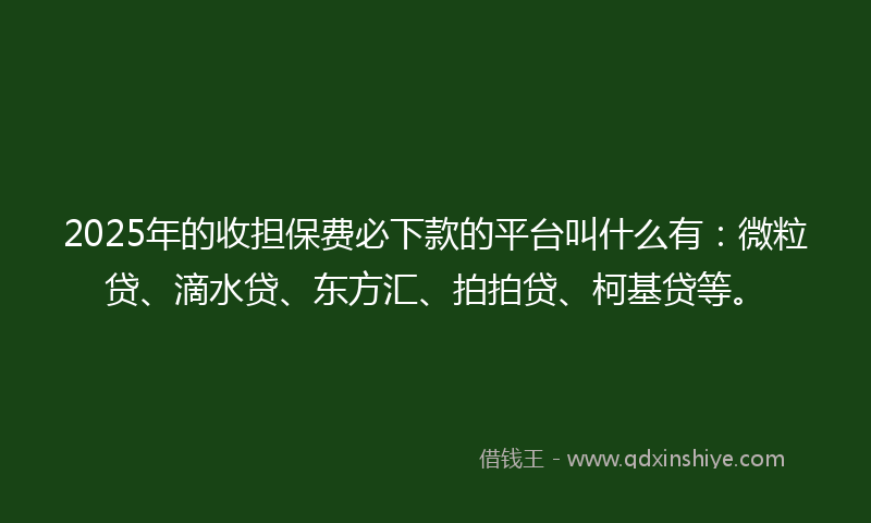 2025年的收担保费必下款的平台叫什么有：微粒贷、滴水贷、东方汇、拍拍贷、柯基贷等。