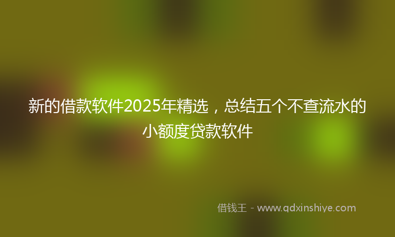 新的借款软件2025年精选，总结五个不查流水的小额度贷款软件
