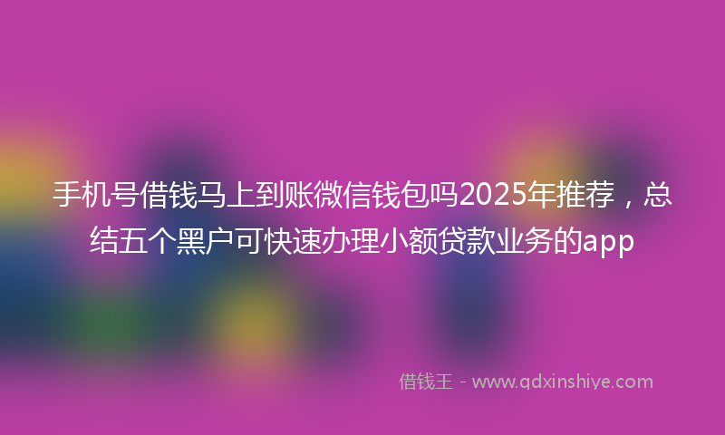 手机号借钱马上到账微信钱包吗2025年推荐，总结五个黑户可快速办理小额贷款业务的app