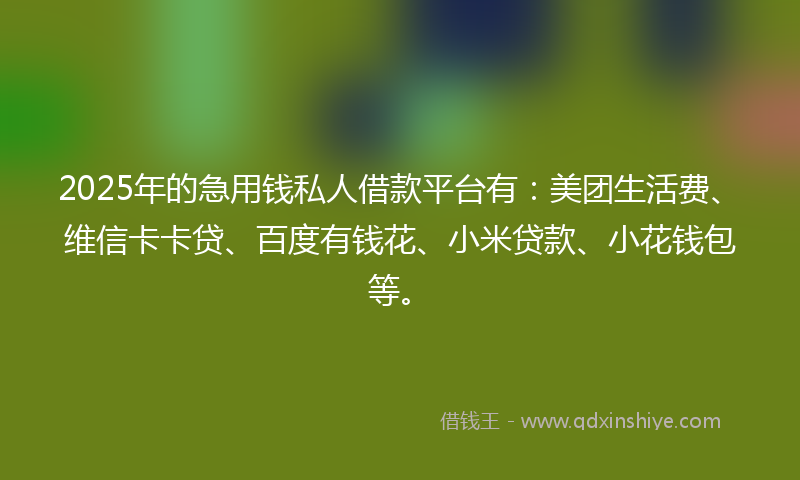 2025年的急用钱私人借款平台有：美团生活费、维信卡卡贷、百度有钱花、小米贷款、小花钱包等。