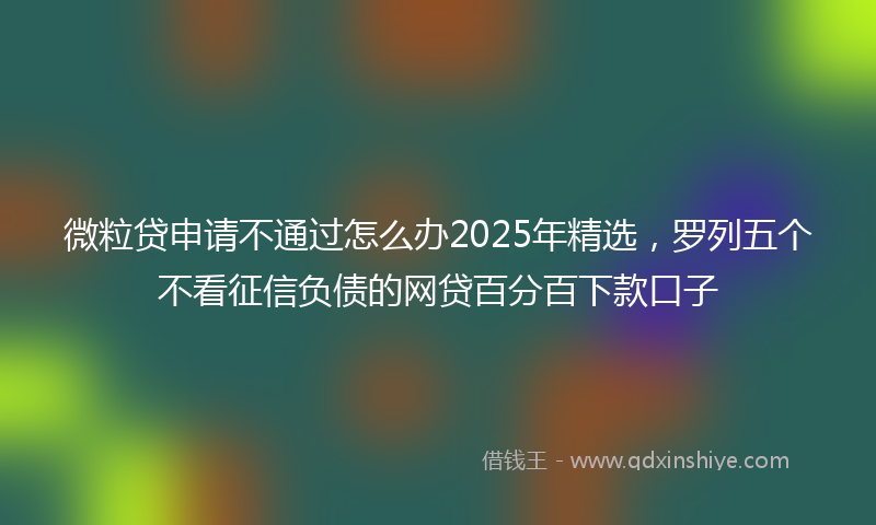 微粒贷申请不通过怎么办2025年精选，罗列五个不看征信负债的网贷百分百下款口子