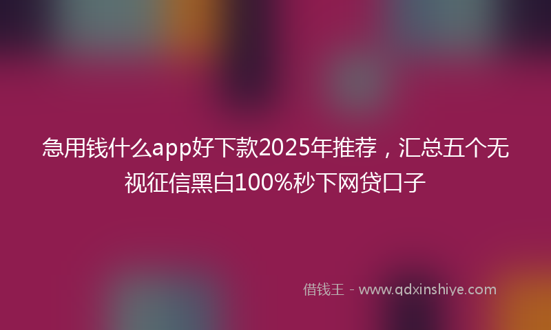 急用钱什么app好下款2025年推荐，汇总五个无视征信黑白100%秒下网贷口子