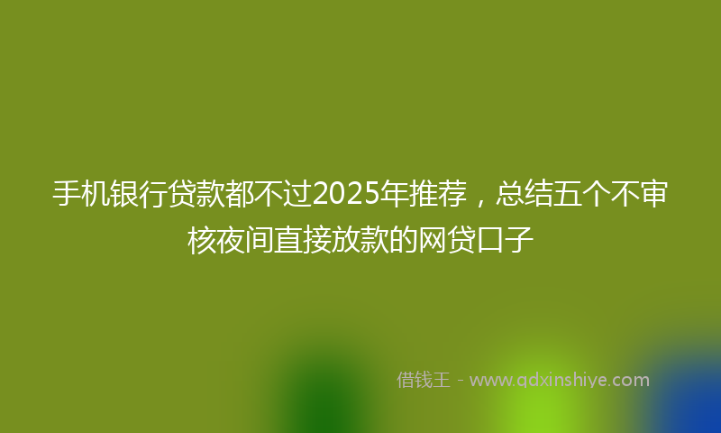 手机银行贷款都不过2025年推荐，总结五个不审核夜间直接放款的网贷口子