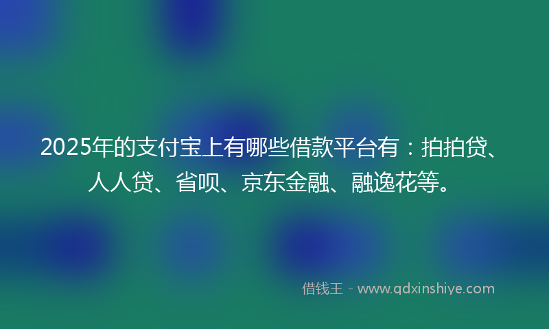 2025年的支付宝上有哪些借款平台有：拍拍贷、人人贷、省呗、京东金融、融逸花等。