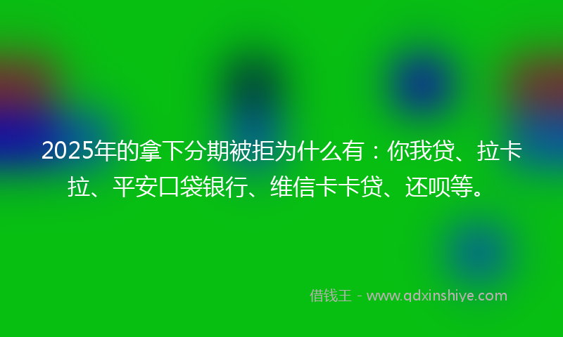 2025年的拿下分期被拒为什么有：你我贷、拉卡拉、平安口袋银行、维信卡卡贷、还呗等。