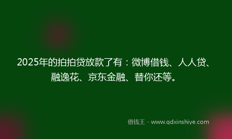 2025年的拍拍贷放款了有：微博借钱、人人贷、融逸花、京东金融、替你还等。