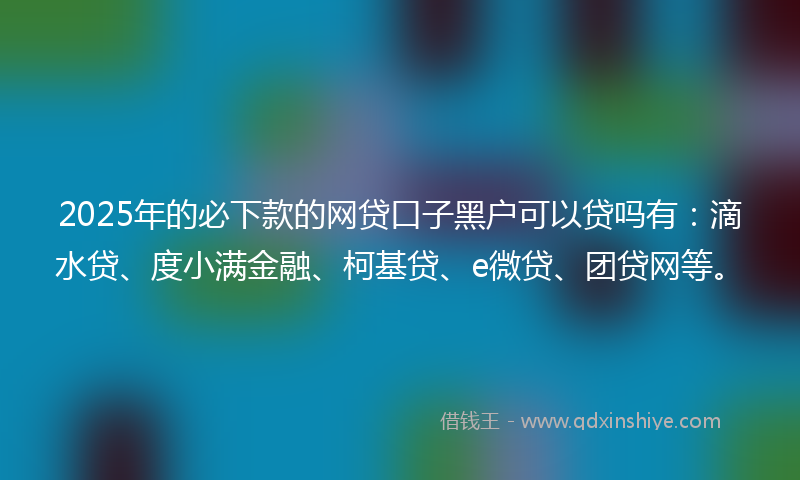 2025年的必下款的网贷口子黑户可以贷吗有：滴水贷、度小满金融、柯基贷、e微贷、团贷网等。